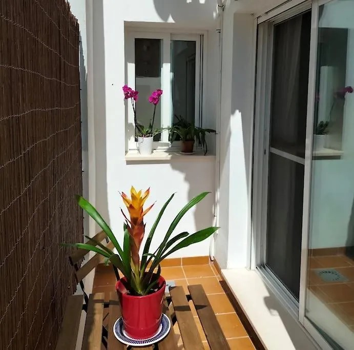Appartamento Estudio 52 Malaga Centrico Parking Gratuito Spagna